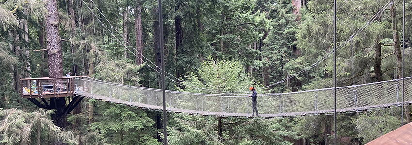 LWCF Suspension Bridge