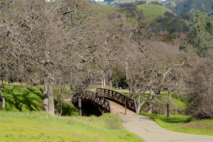 Bridge