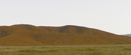 Antelope Valley