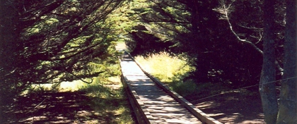 MacKerricher State Park