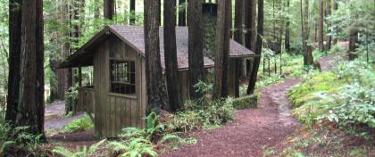 Mendocino Woodlands SP