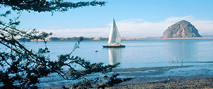 Morro Bay SP