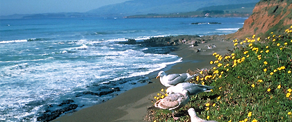 San Simeon SP