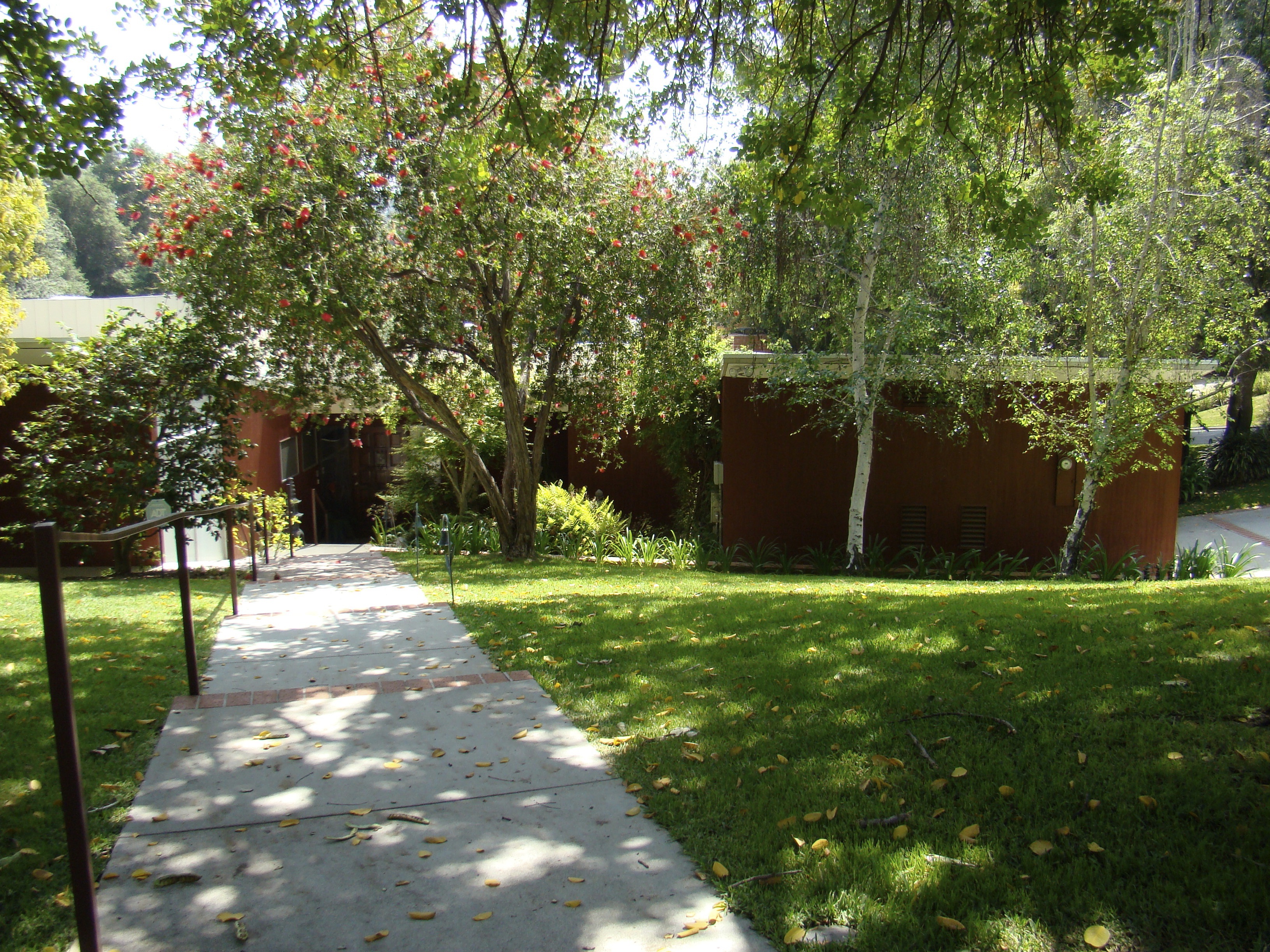 PHOTO: Case Study House 10