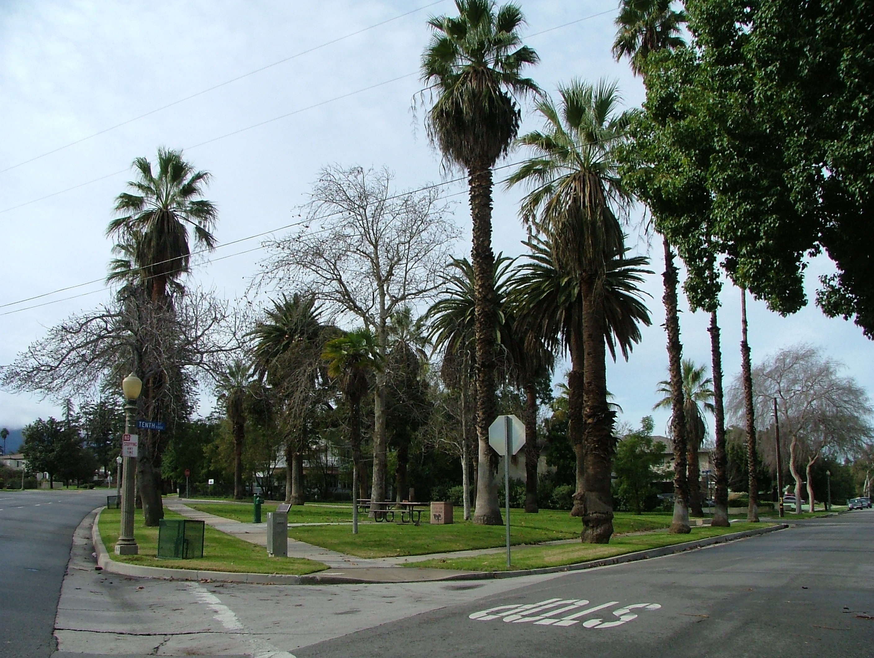 PHOTO: Grand Boulevard