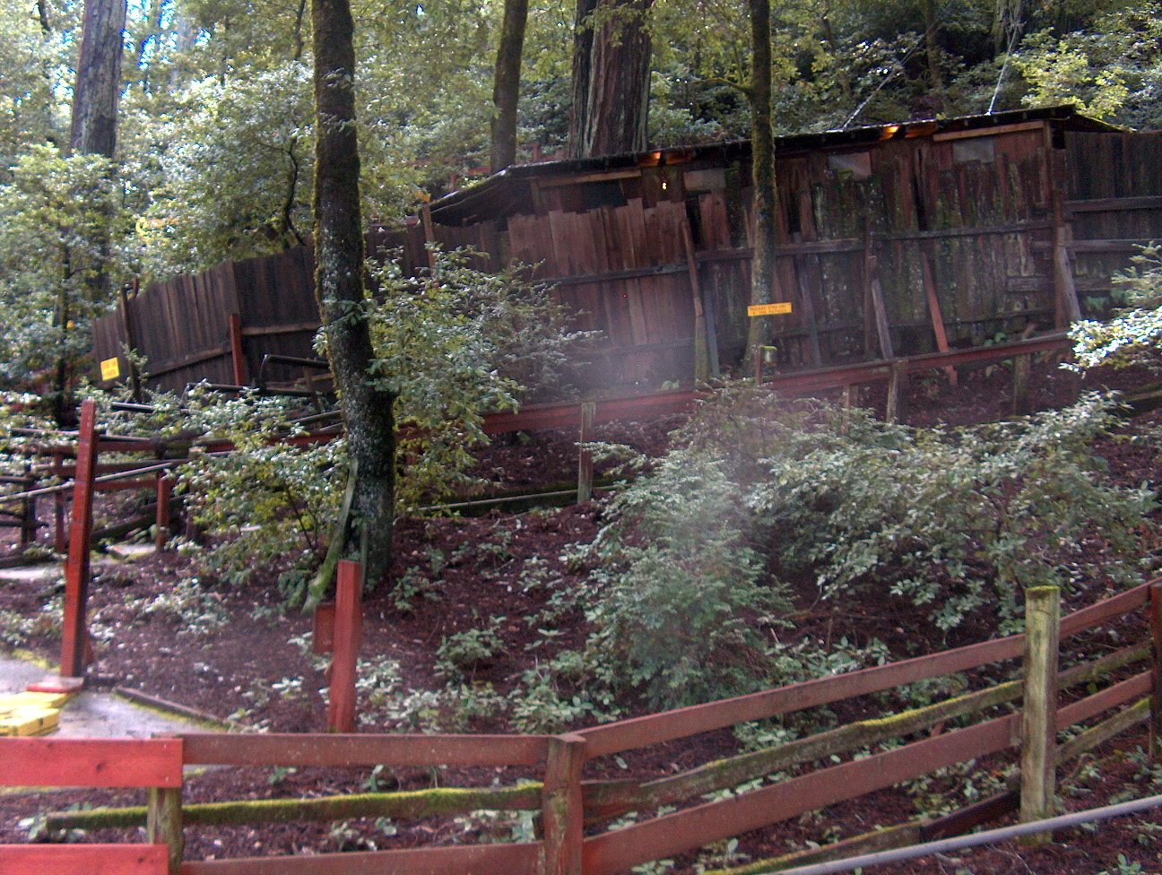 Link: Confusion Hill image