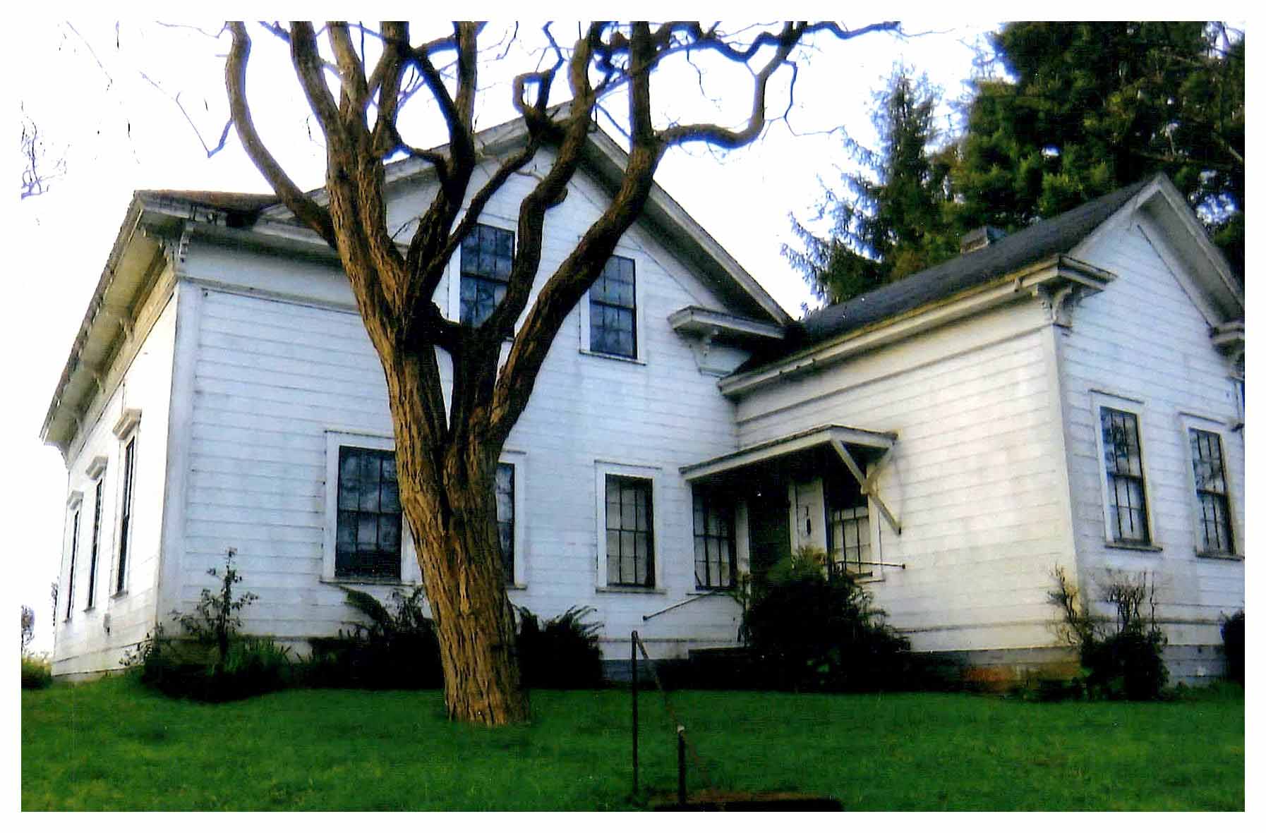 Before: view of unpainted rear facade and overgrown foundation planting.