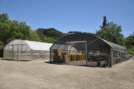 Greenhouse Photo
