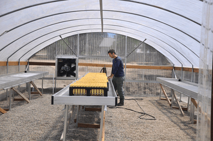 Greenhouse Photo