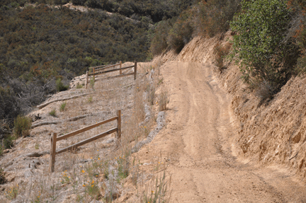Sage Road After Restoration Photo
