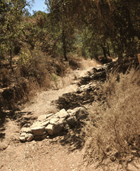 Coyote Trail Restoration Project Rock Check Dams Photo