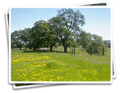 Photo of Prairie City SVRA
