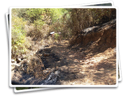 Mammoth Bar OHV Area Wildfire Photo