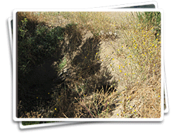 Dilapidated culvert photo