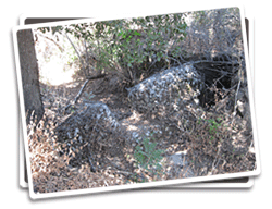 Gabion Basket Photo