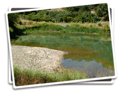 Basin After Cleanup Photo