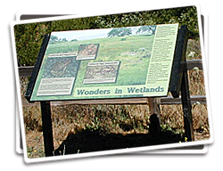Interpretive Panel Photo
