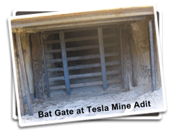 Bat Gate at Tesla Mine Complex