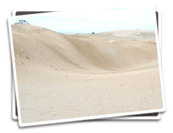 Photo of dunes at Ocean Dunes SVRA