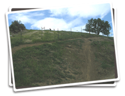 Photo of Juniper Trail after revegetation
