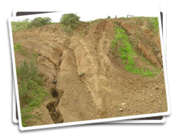 Photo of Juniper Trail before revegetation