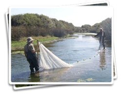 Fisheries Photo