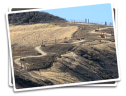 Red-Tail Trail After Restoration Photo