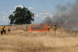 Prairie City SVRA Controlled Burn Photo 3