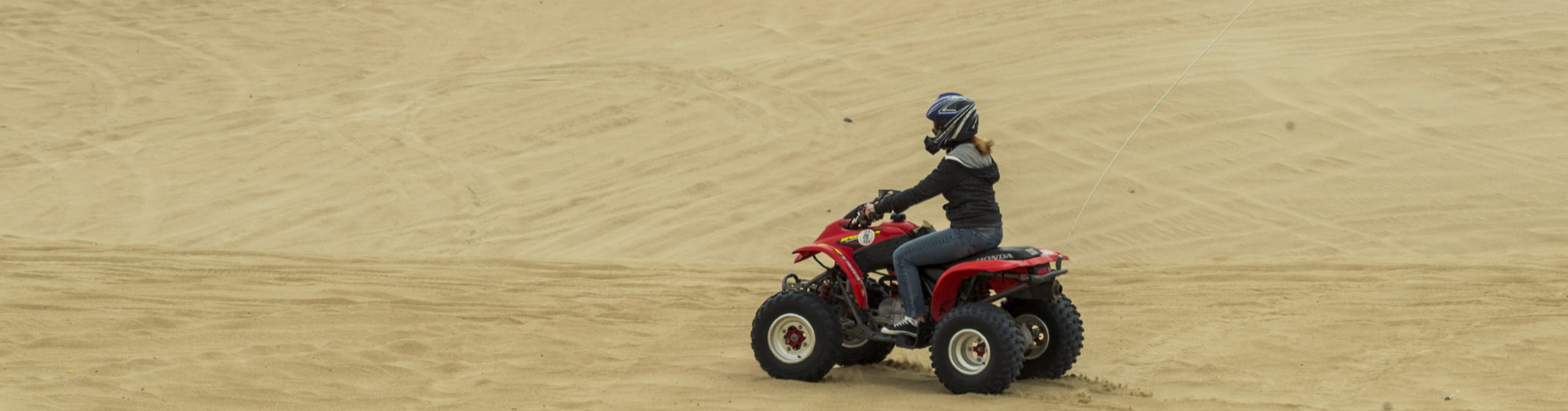 Loan Rider on the Sand