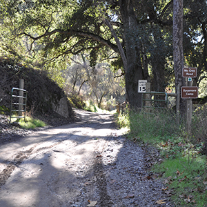 sycamore campground