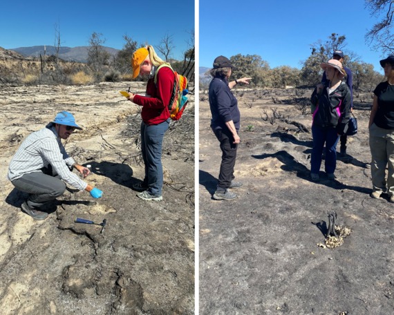 California state University, Northridge students collecting soil samples containing ash from the Post Fire.
