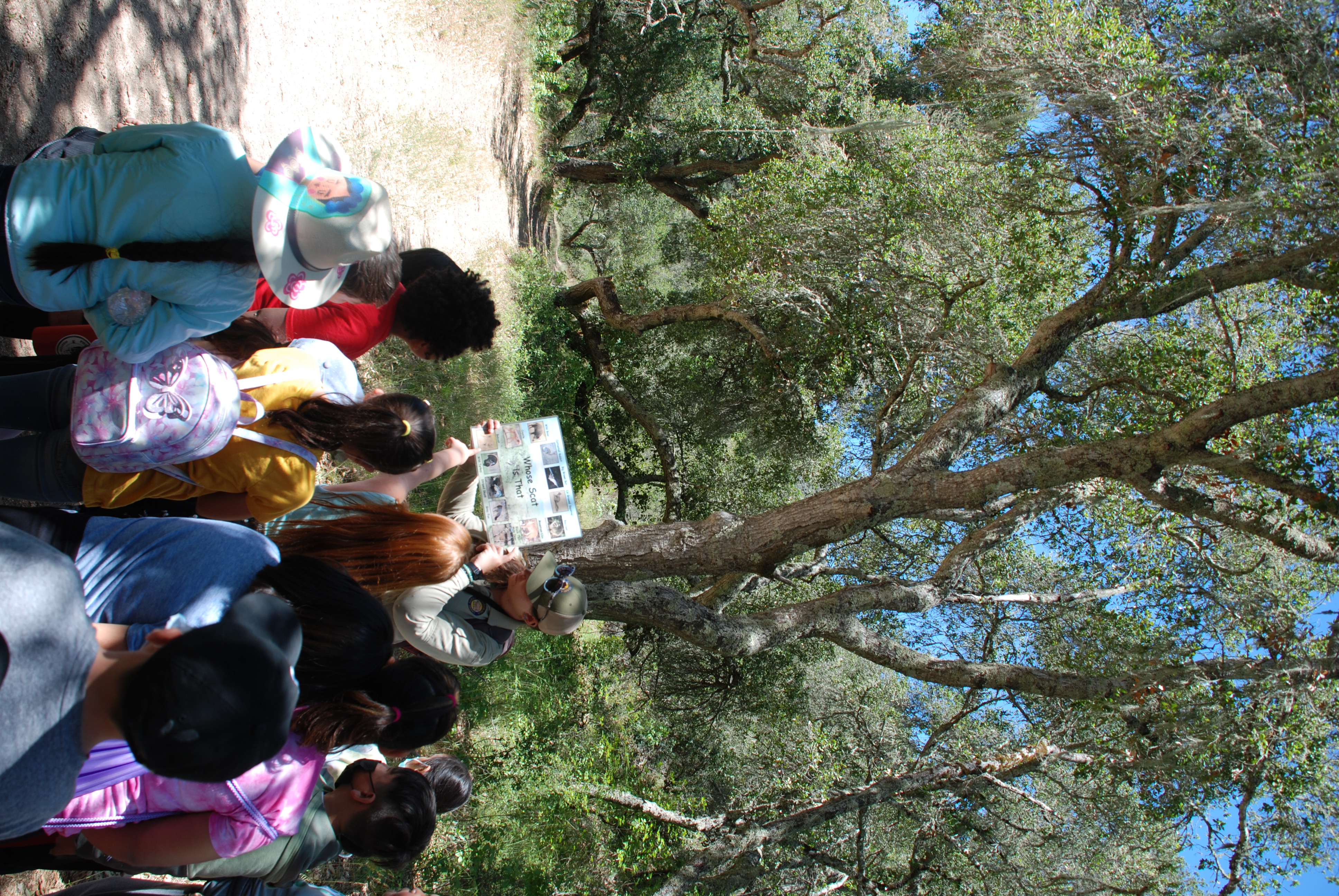 students on field trip students on field trip
