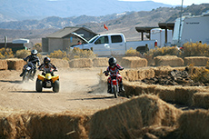 Two minibikes and a small quad on the mini track.