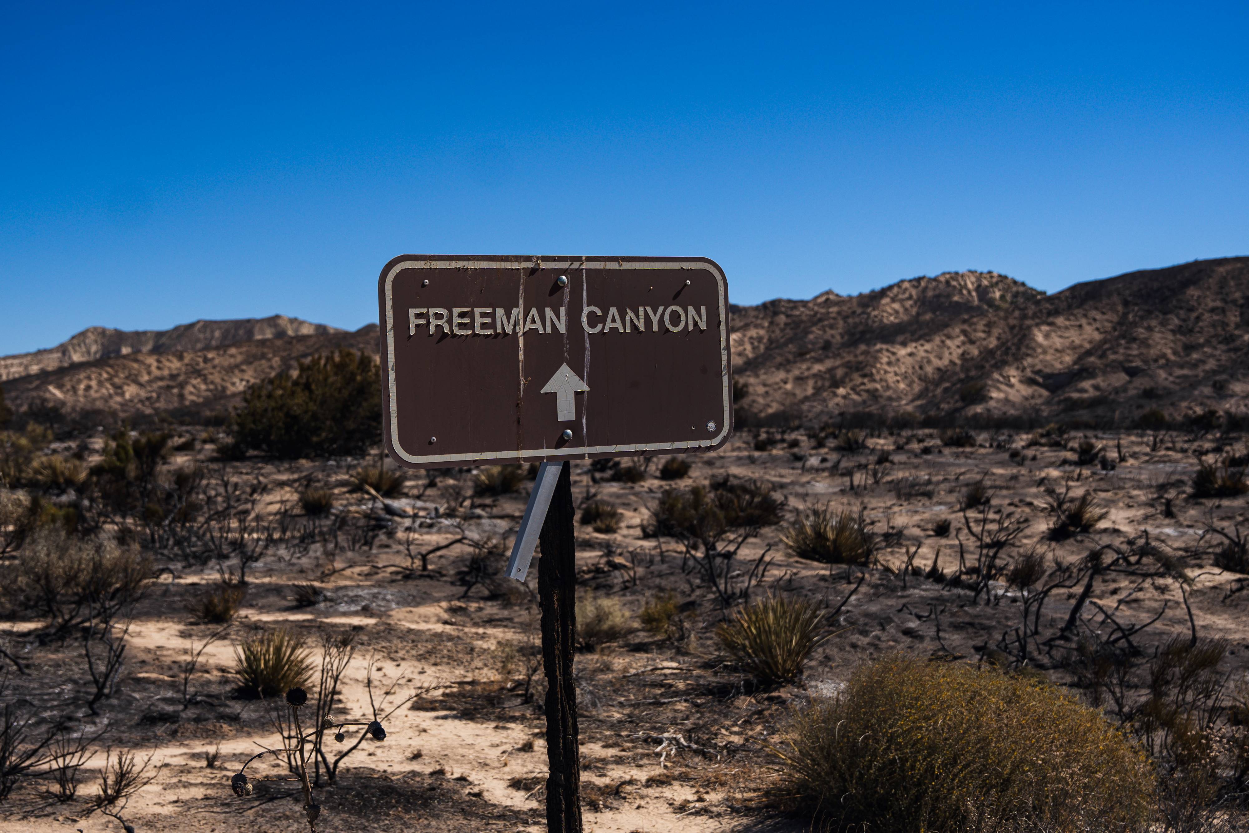 A sign for Freeman Canyon surrounded by burned vegetation.
