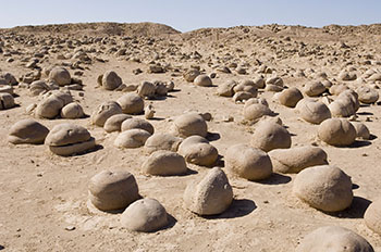 Pumpkin Patch photo depicting many pumpkin sized rock nodules.