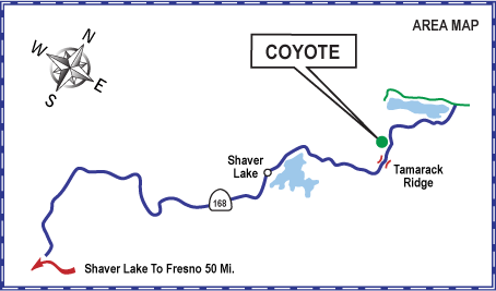 Coyote