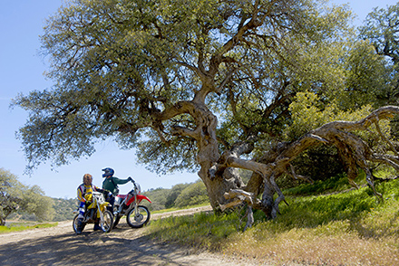 Riders at OHV Park