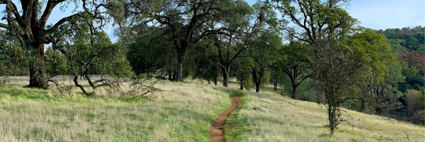 Brown Ravine Trail Banner