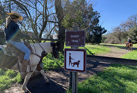 Equestrians on Shady Trail
