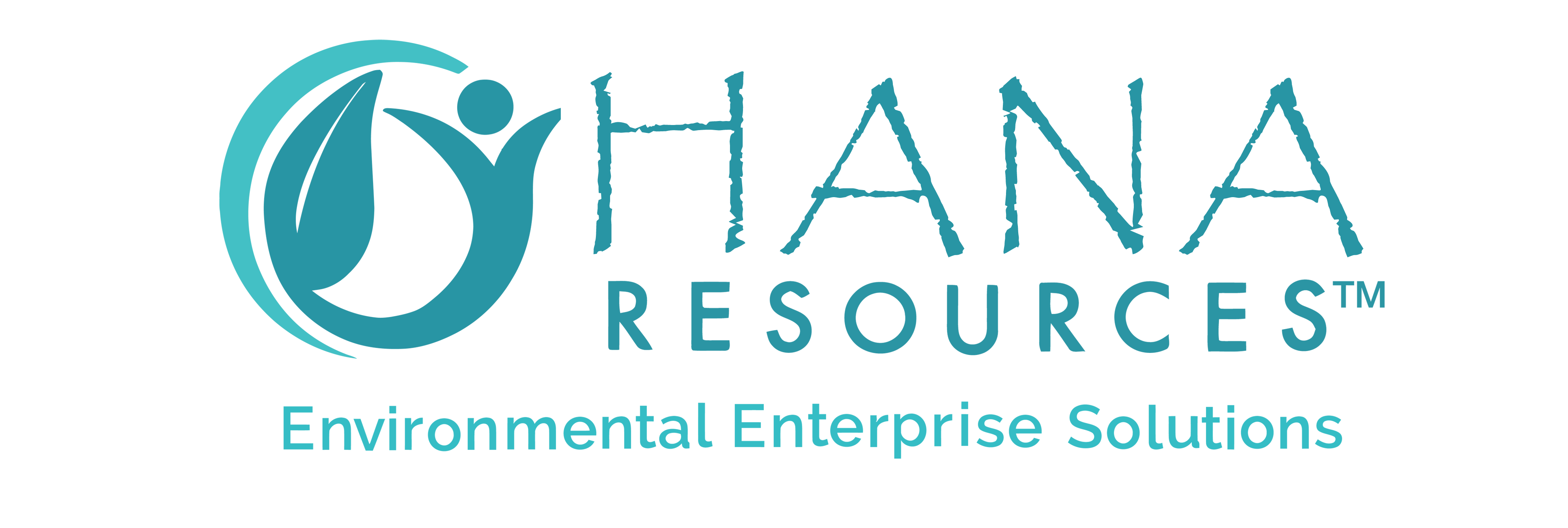 Hana Logo