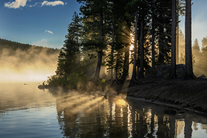 Donner Memorial State Park with morning mist and pine trees in the back ground.