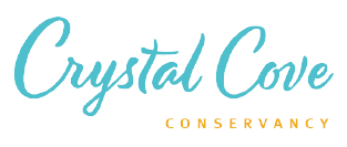 crystalcove.org