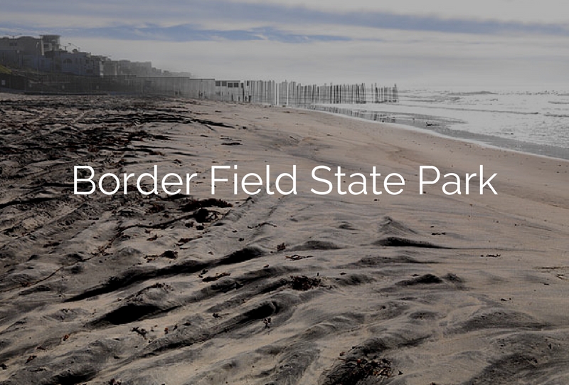 Border Fields SP