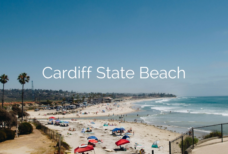 Cardiff SB