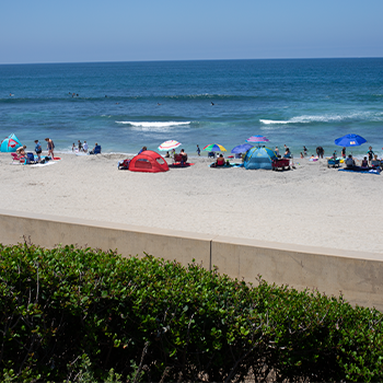 Tamarack state beach