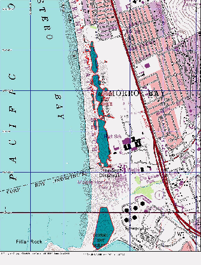 map of Ammophila at Morro Strand