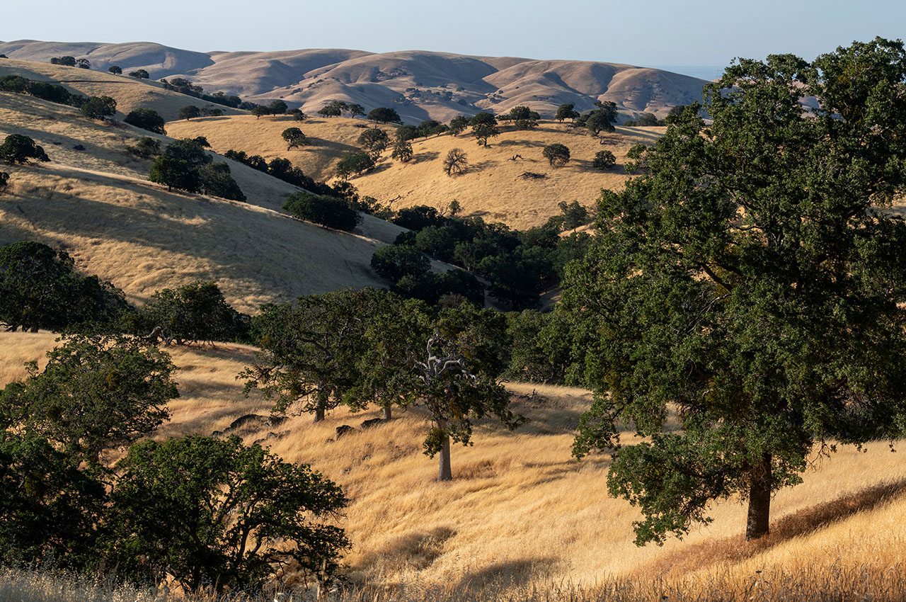 Diabale Range Hills