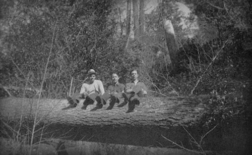 On a weekend outing, Dyerville, 1933