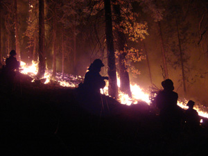 On fireline at Palomar during Poomacha Fire
