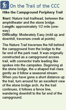 Description of hike on Idyllwild campground nature trail